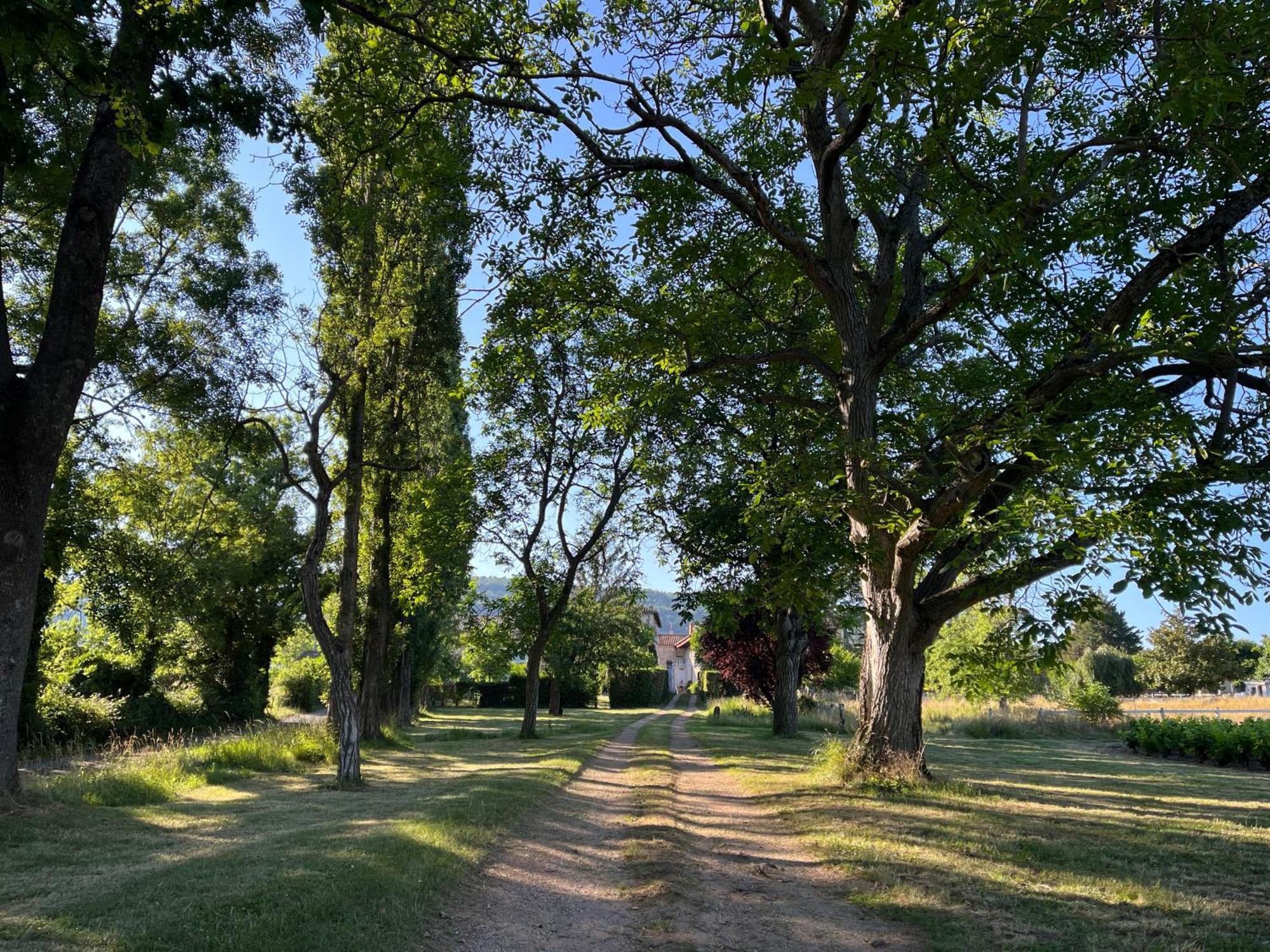 Vila Domaine De La Baisse Saint-Etienne-la-Varenne Exteriér fotografie