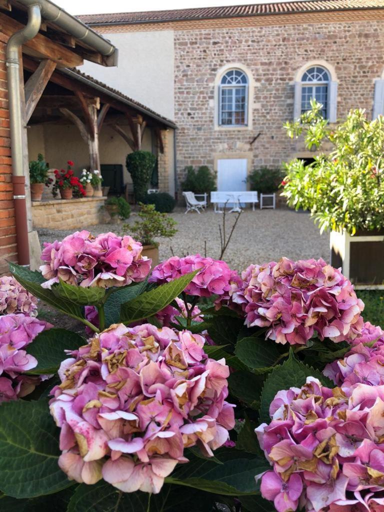 Vila Domaine De La Baisse Saint-Etienne-la-Varenne Exteriér fotografie